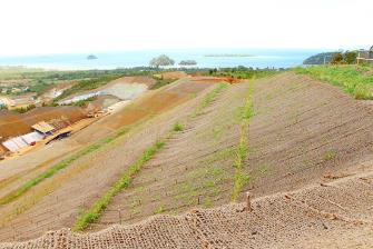 Triplo 4 - Water Management